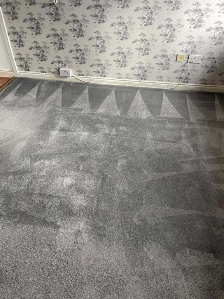 carpet cleaning project in leigh on sea essex 24
