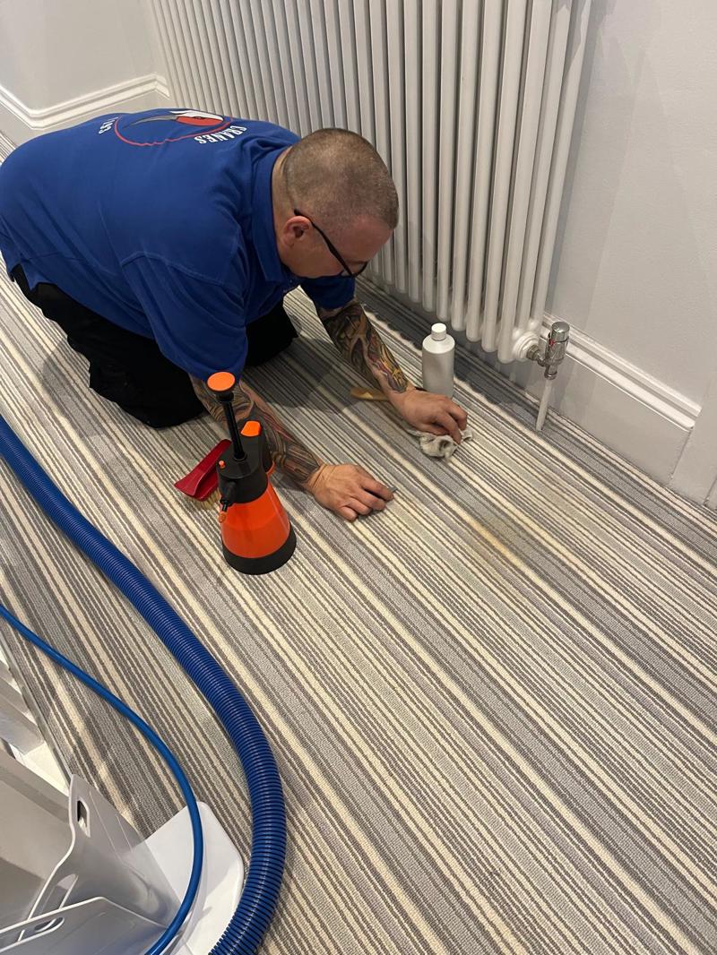 whole house carpet cleaning job hadleigh essex 14
