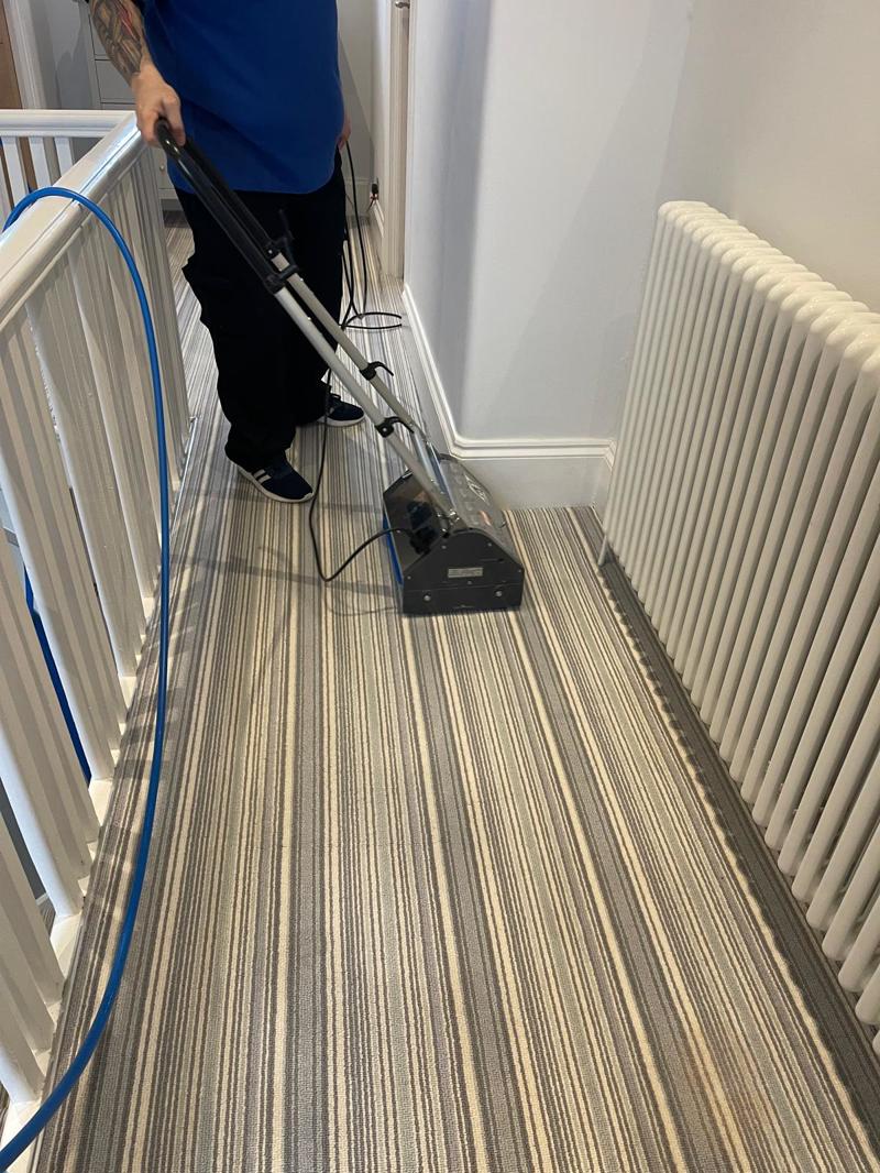 whole house carpet cleaning job hadleigh essex 31