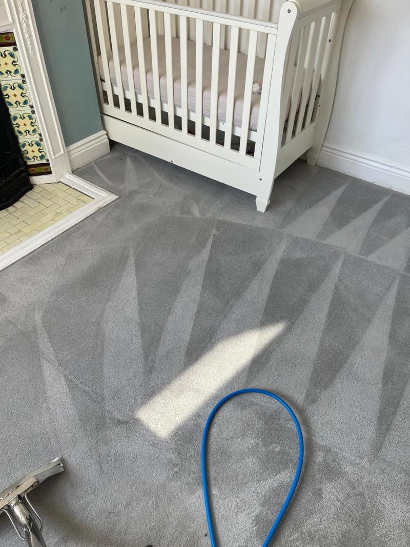 professional carpet and stairs cleaning billericay essex 12