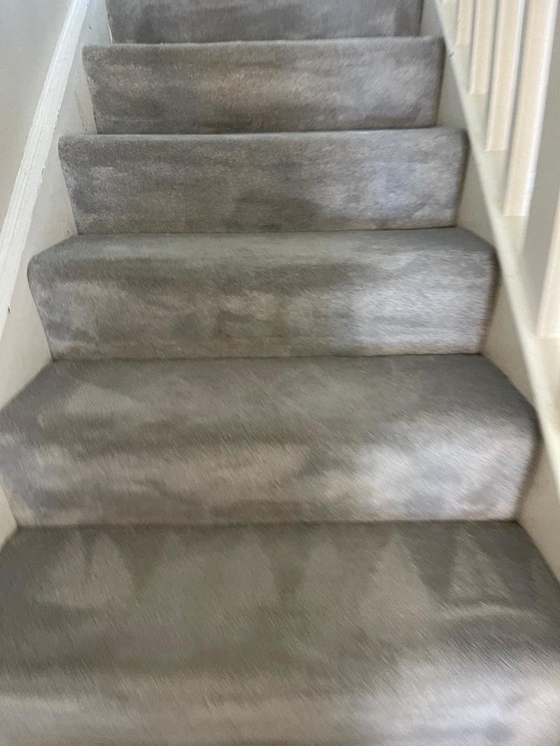 professional carpet and stairs cleaning billericay essex 25