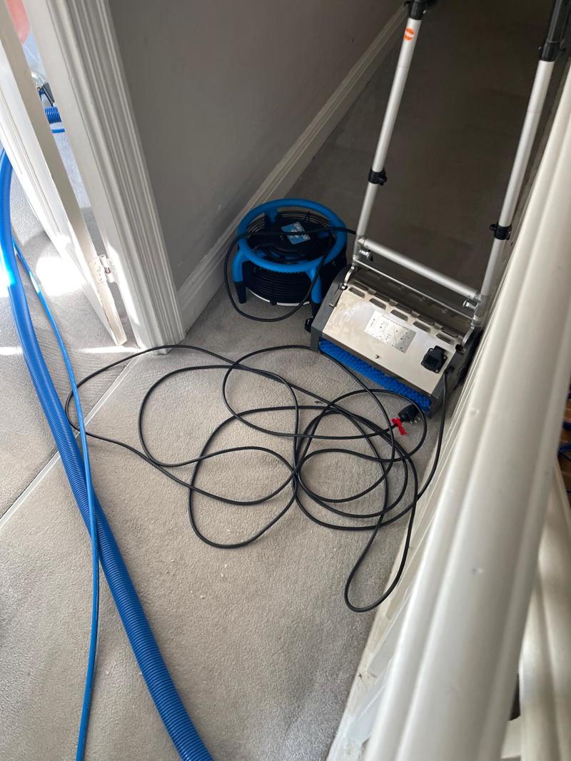 professional carpet and stairs cleaning billericay essex 7