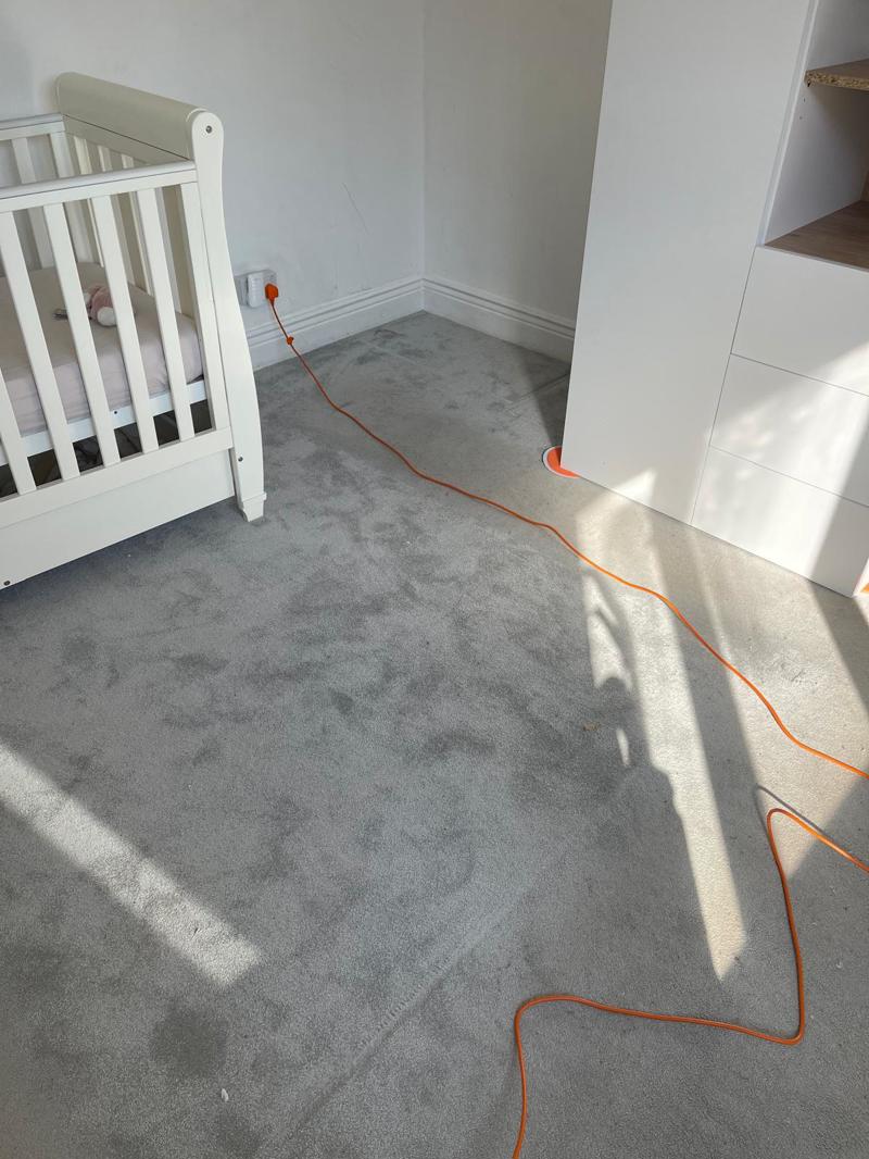 professional carpet and stairs cleaning billericay essex
