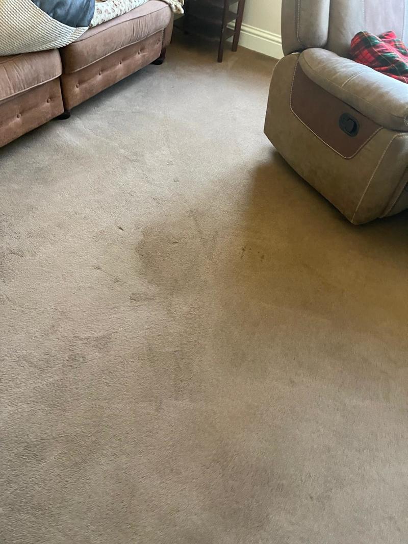 carpet cleaning project southend on sea essex 47