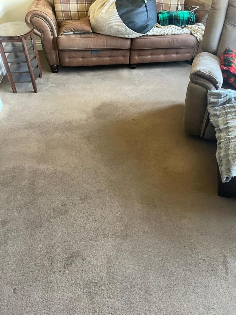 carpet cleaning project southend on sea essex 53